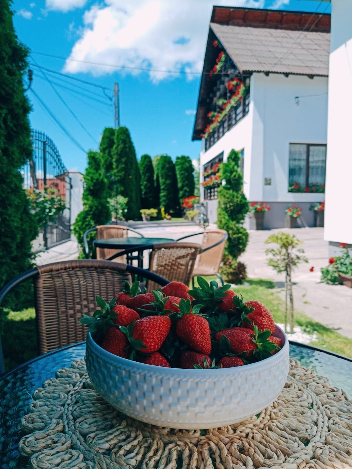 Pensiunea Casa Andreea - Bârsana Maramureș - foto 1