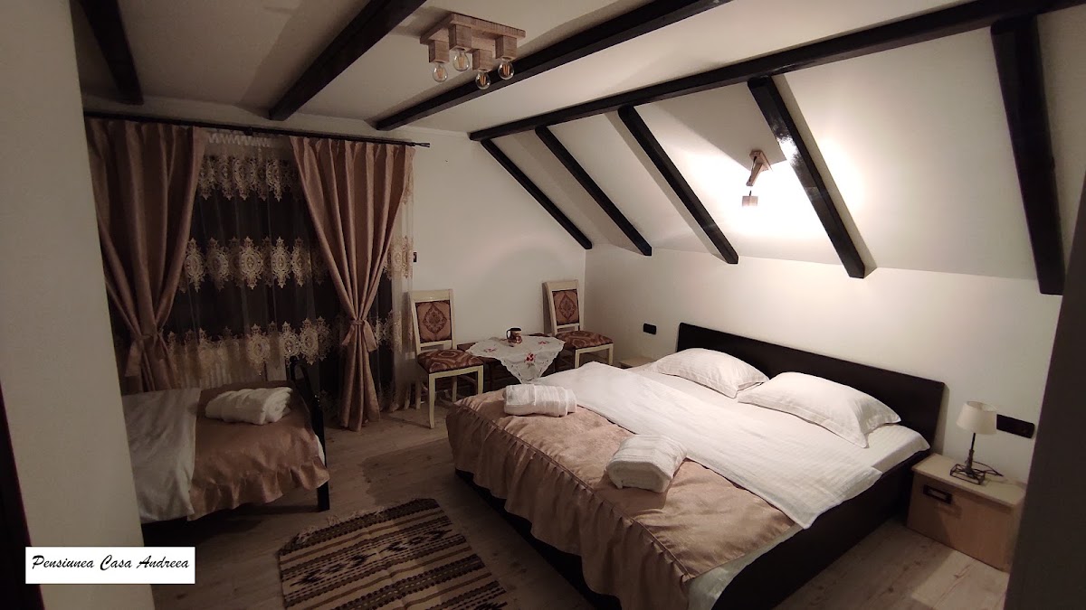 Pensiunea Casa Andreea - Bârsana Maramureș - foto 2