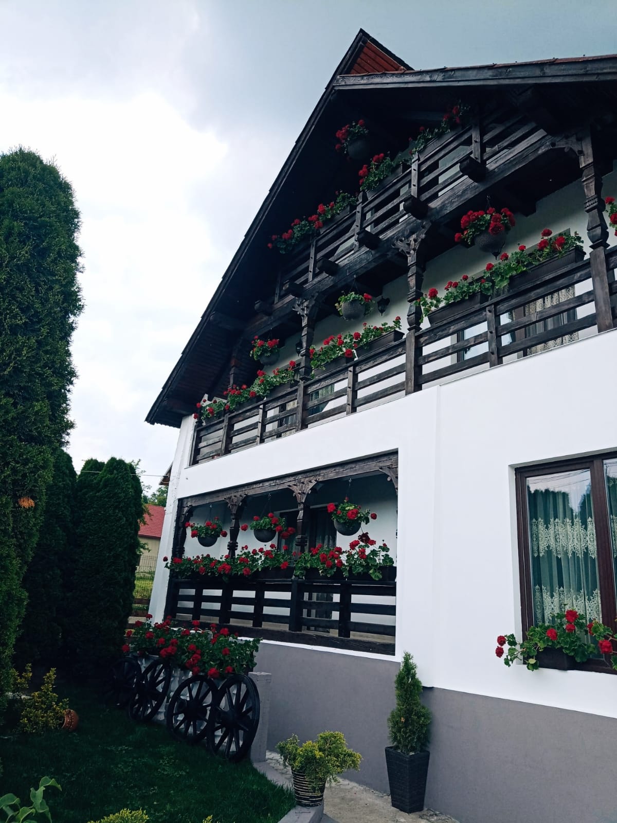 Pensiunea Casa Andreea - Bârsana Maramureș - foto 4