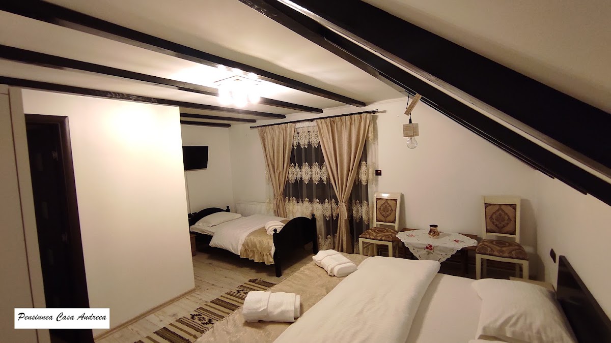 Pensiunea Casa Andreea - Bârsana Maramureș - foto 5