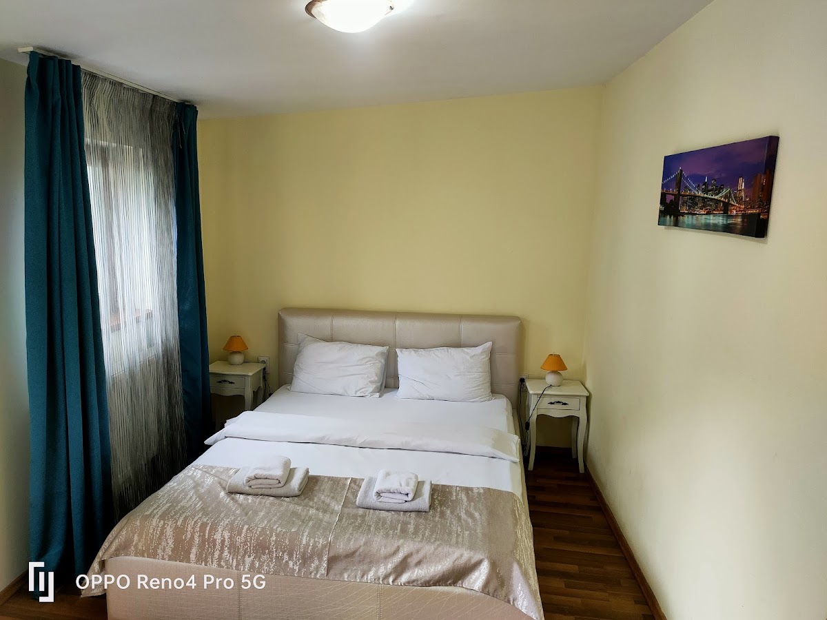 Pensiunea Casa Aurelia - foto 2