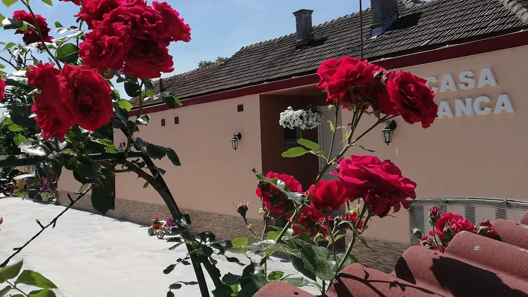 Pensiunea Casa Bianca-Târgu Jiu