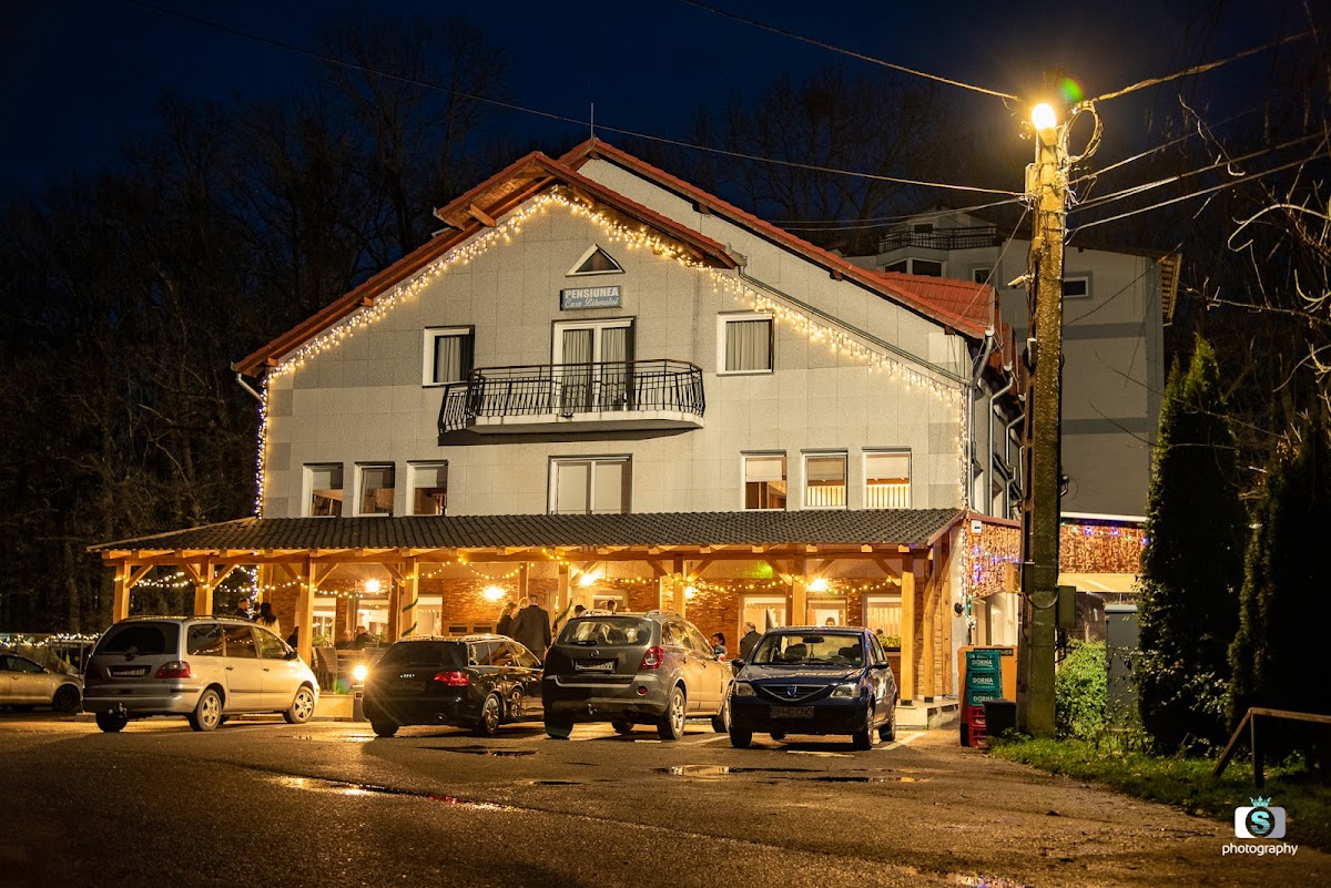 Pensiunea Casa Bihorului - foto 3