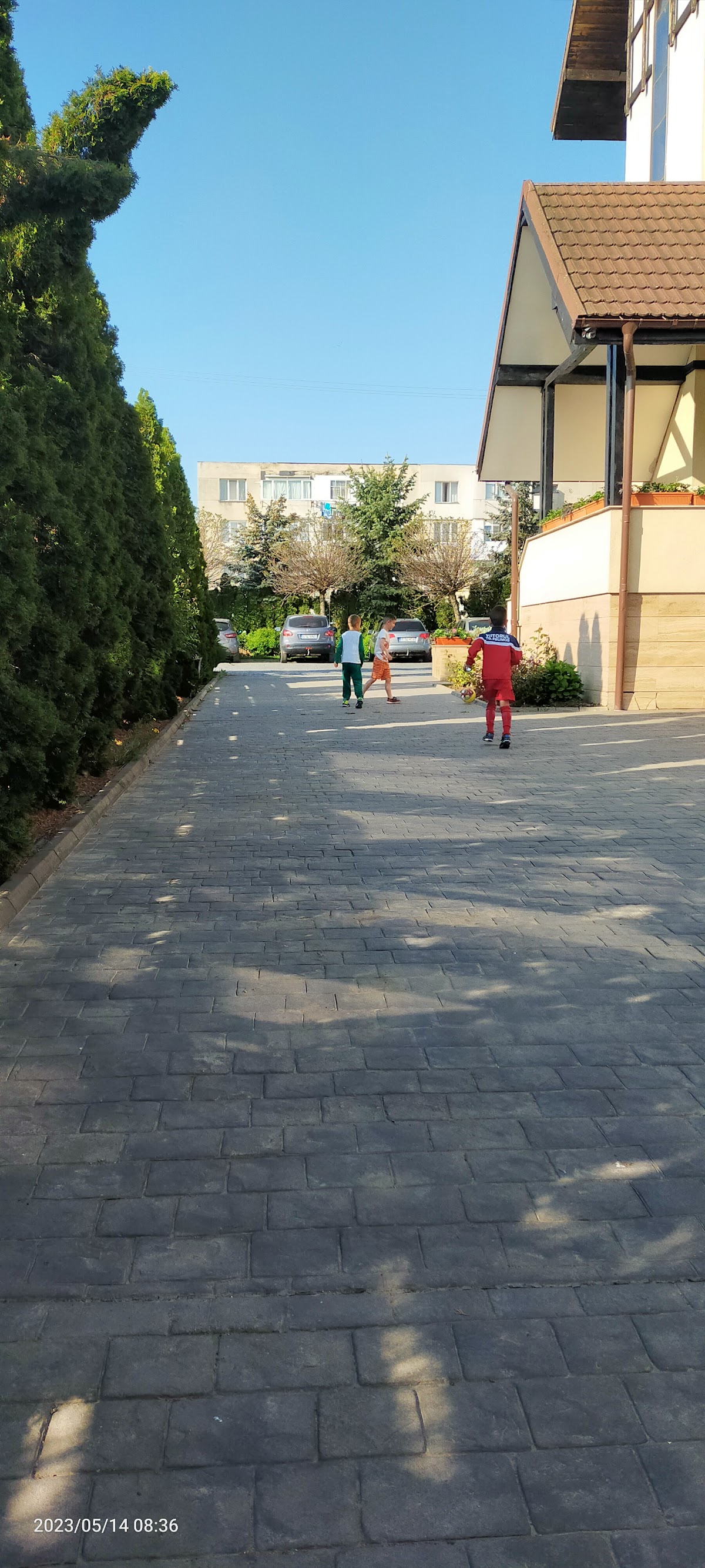Pensiunea Casa Boema, Cătămăreşti-Deal