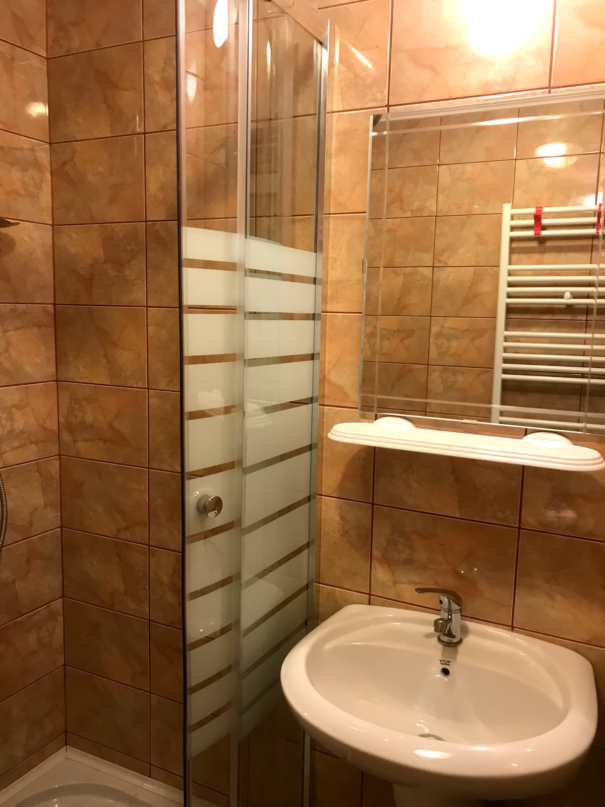 Pensiunea Casa Bucurr - foto 3