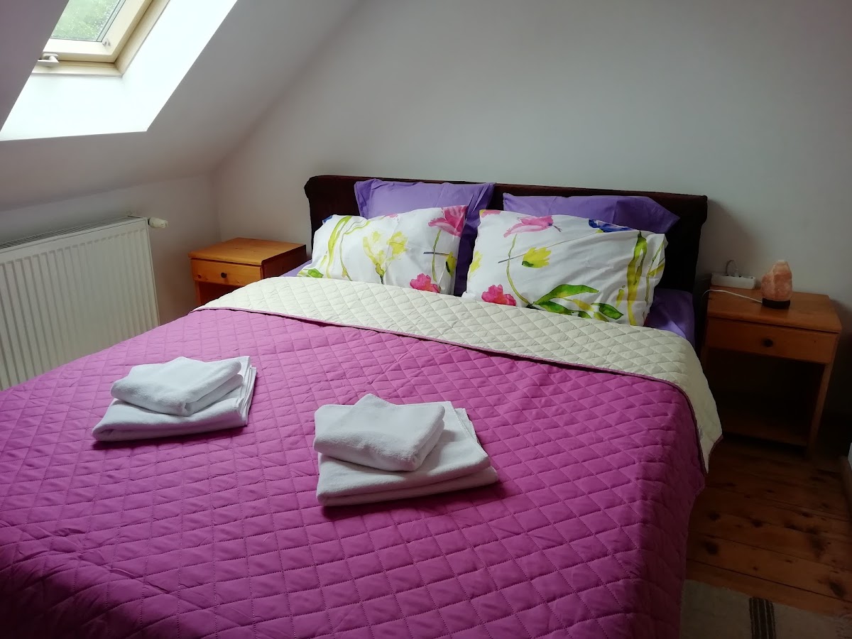 Casa Butnarului Guesthouse