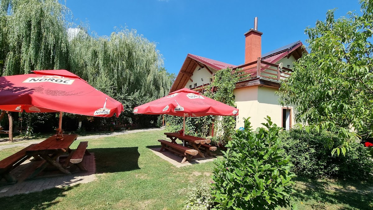 Pensiunea Casa Candea, Albeşti