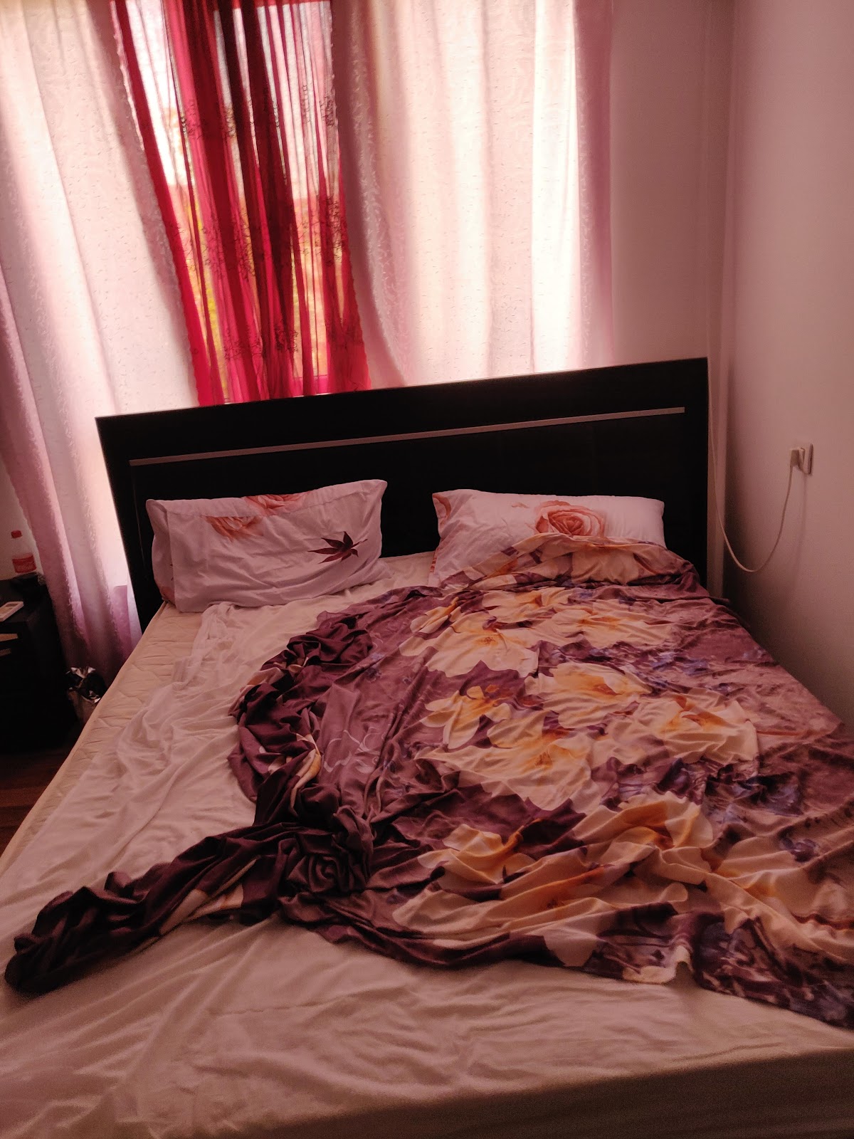 Pensiunea Casa Cornelia Mahmudia - foto 2