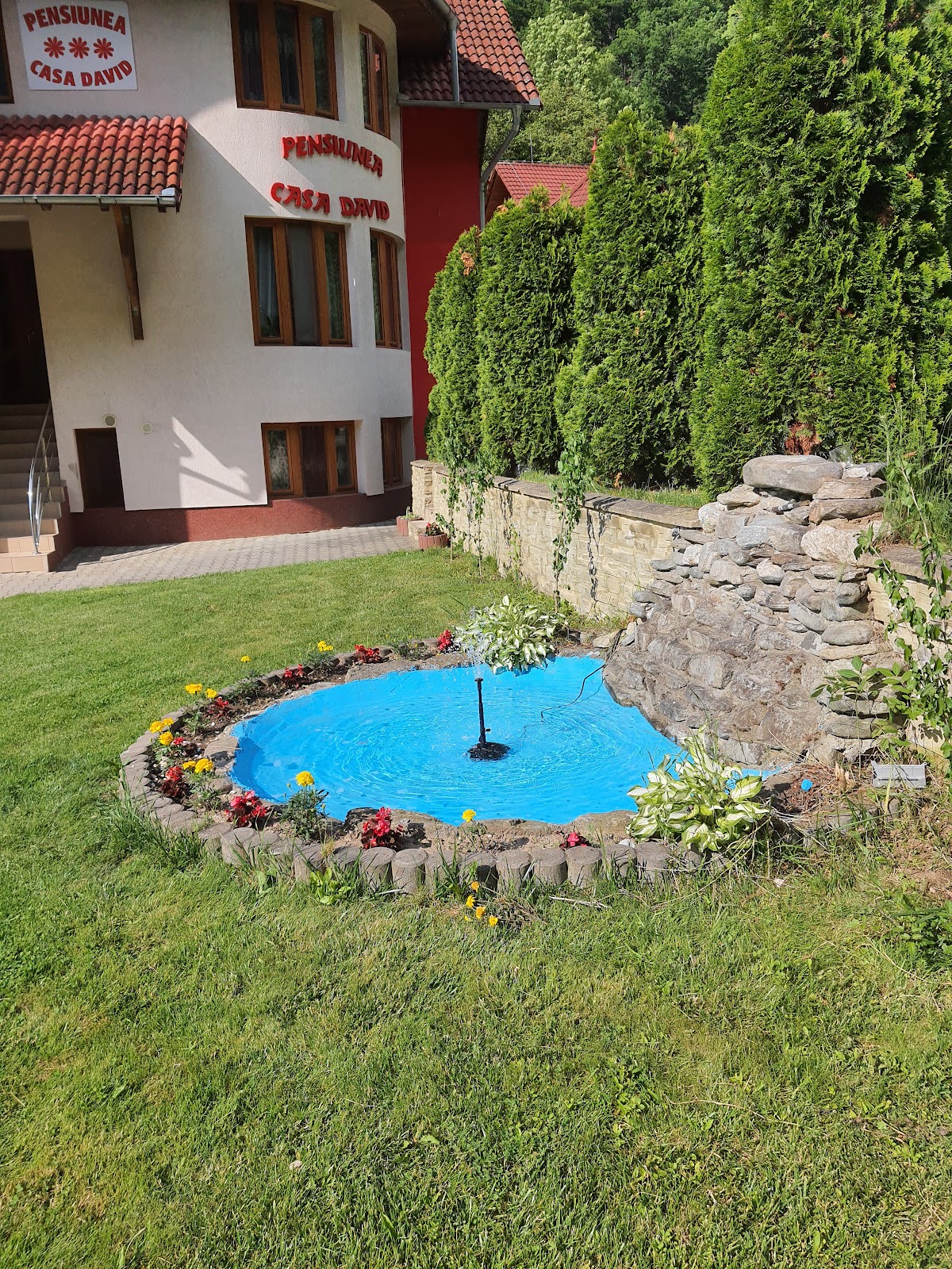 Pensiunea Casa David, Dobra