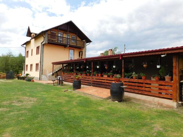 Pensiunea Casa Domniței