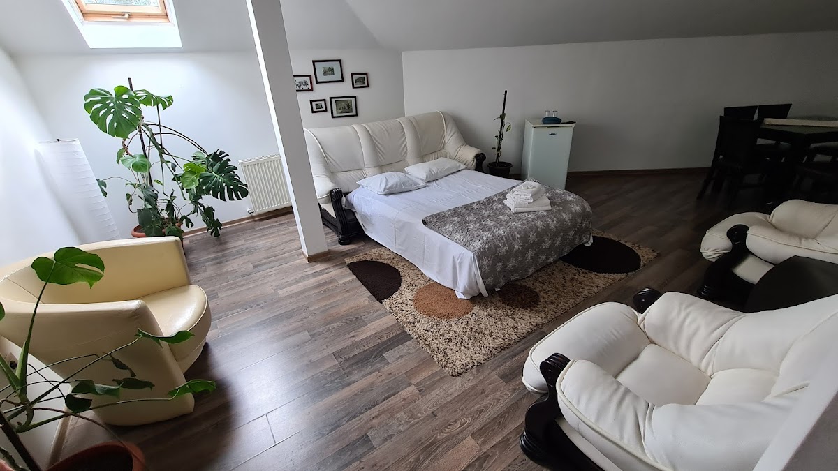 Pensiunea Casa Drumetului - foto 2