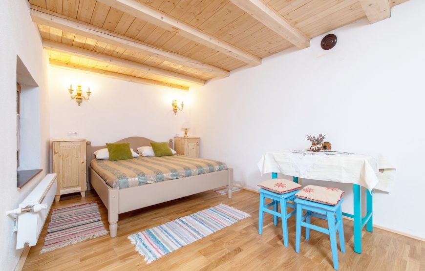 Pensiunea Casa Eva Wagner - foto 5