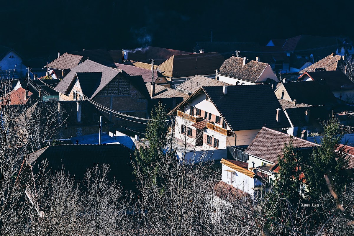 Pensiunea Casa Ilieș Galeș - foto 1