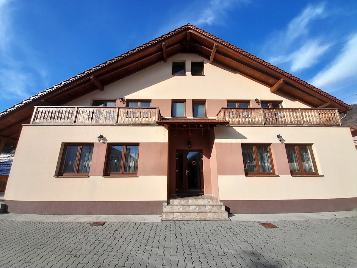 Pensiunea Casa Ilieș Galeș - foto 4