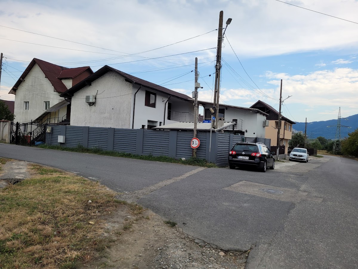 Pensiunea Casa Laubert Calimanesti