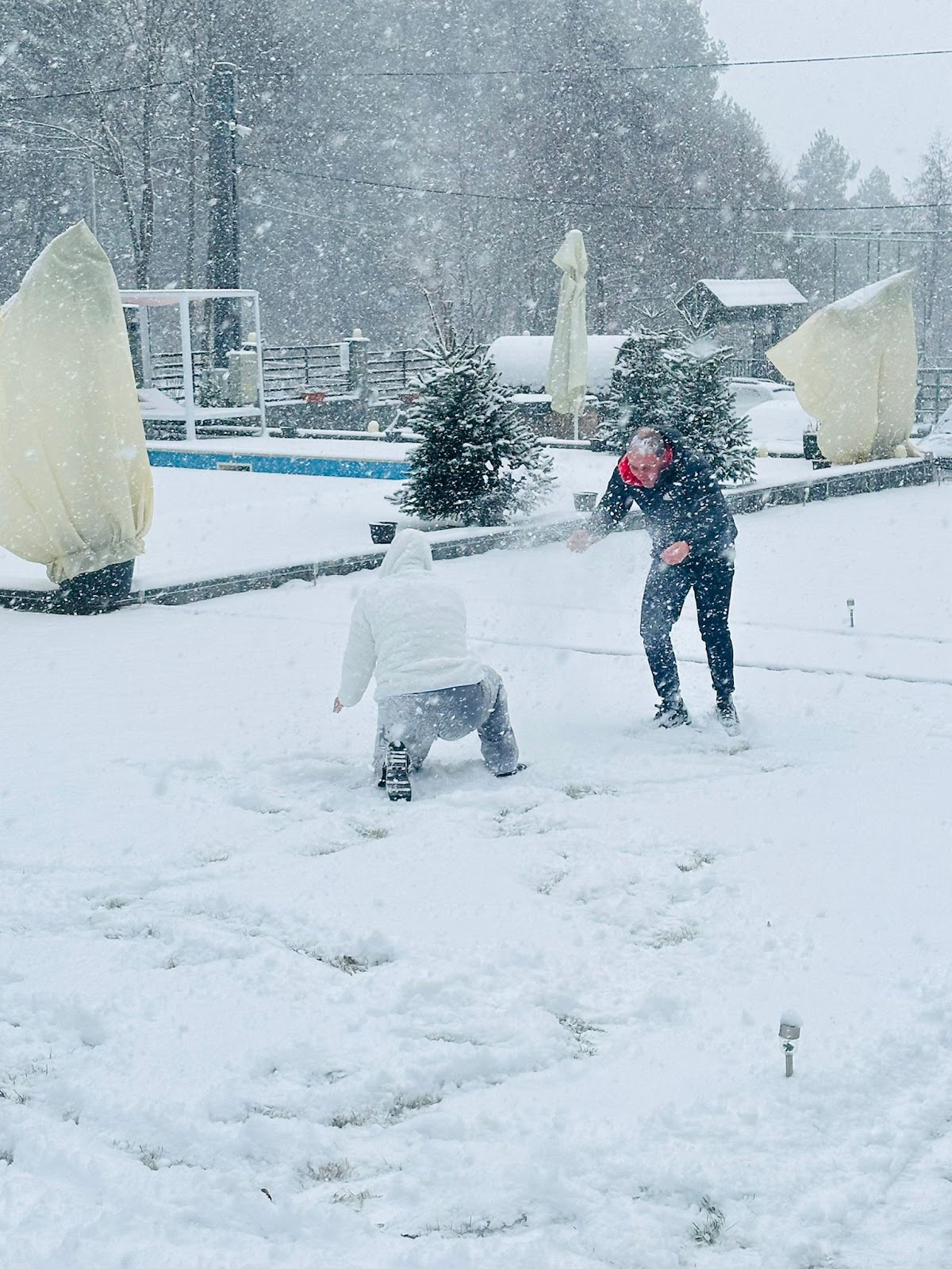 Pensiunea Casa Munty - foto 5