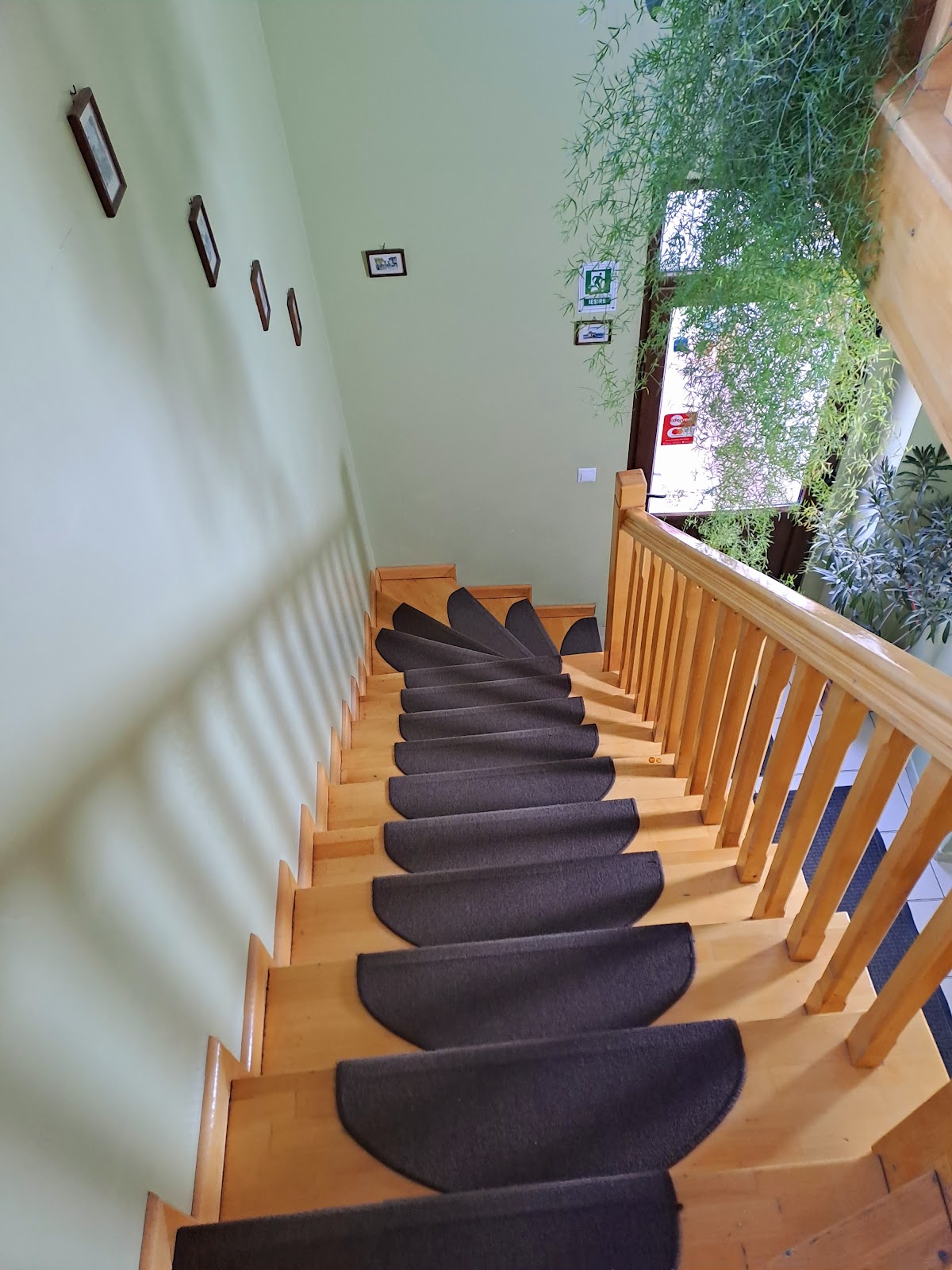 Pensiunea Casa Oana - foto 3