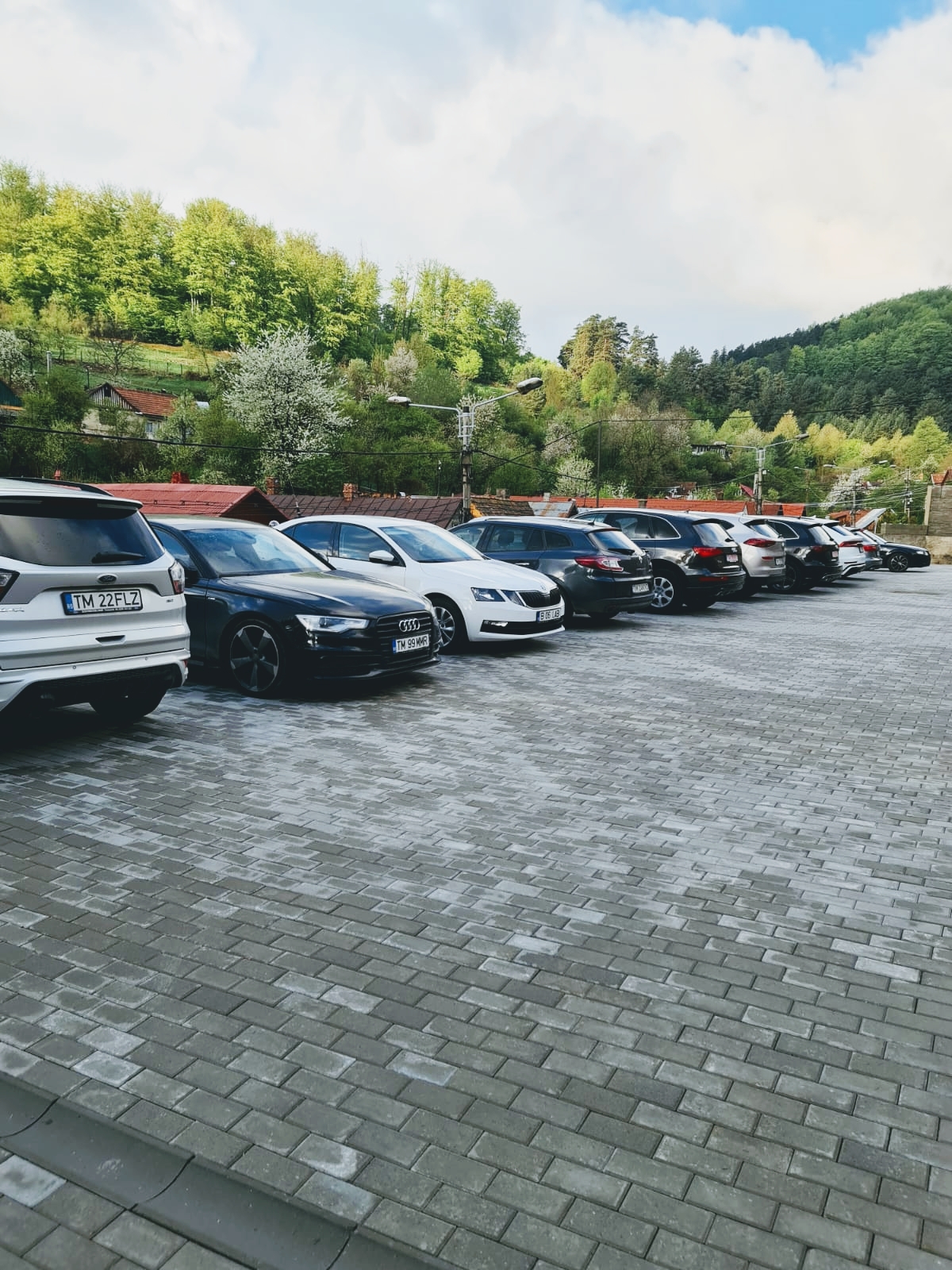 Pensiunea Casa Piri - foto 5