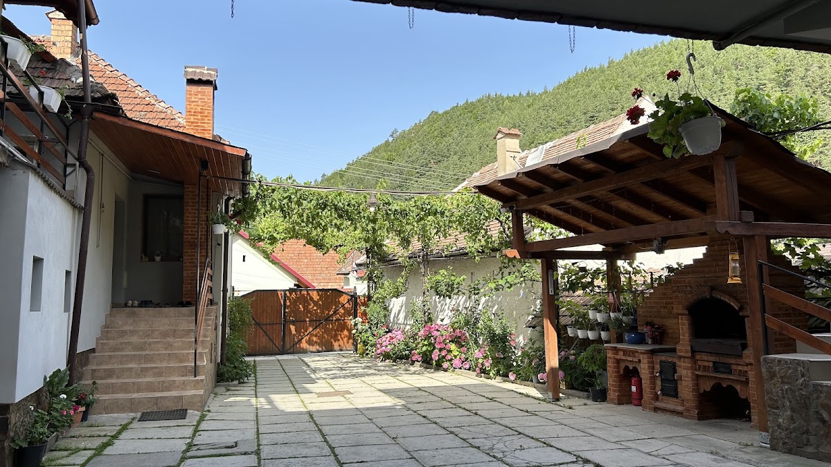 Pensiunea Casa Presecan - foto 1