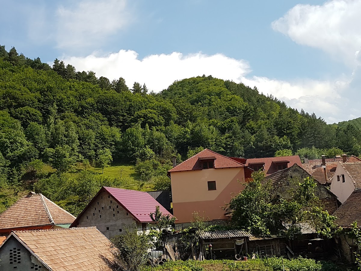 Pensiunea Casa Presecan - foto 4