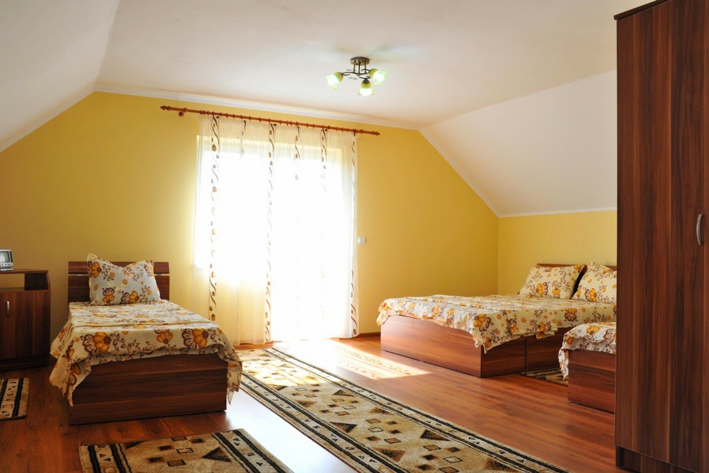 Pensiunea Casa Tămaș - foto 2