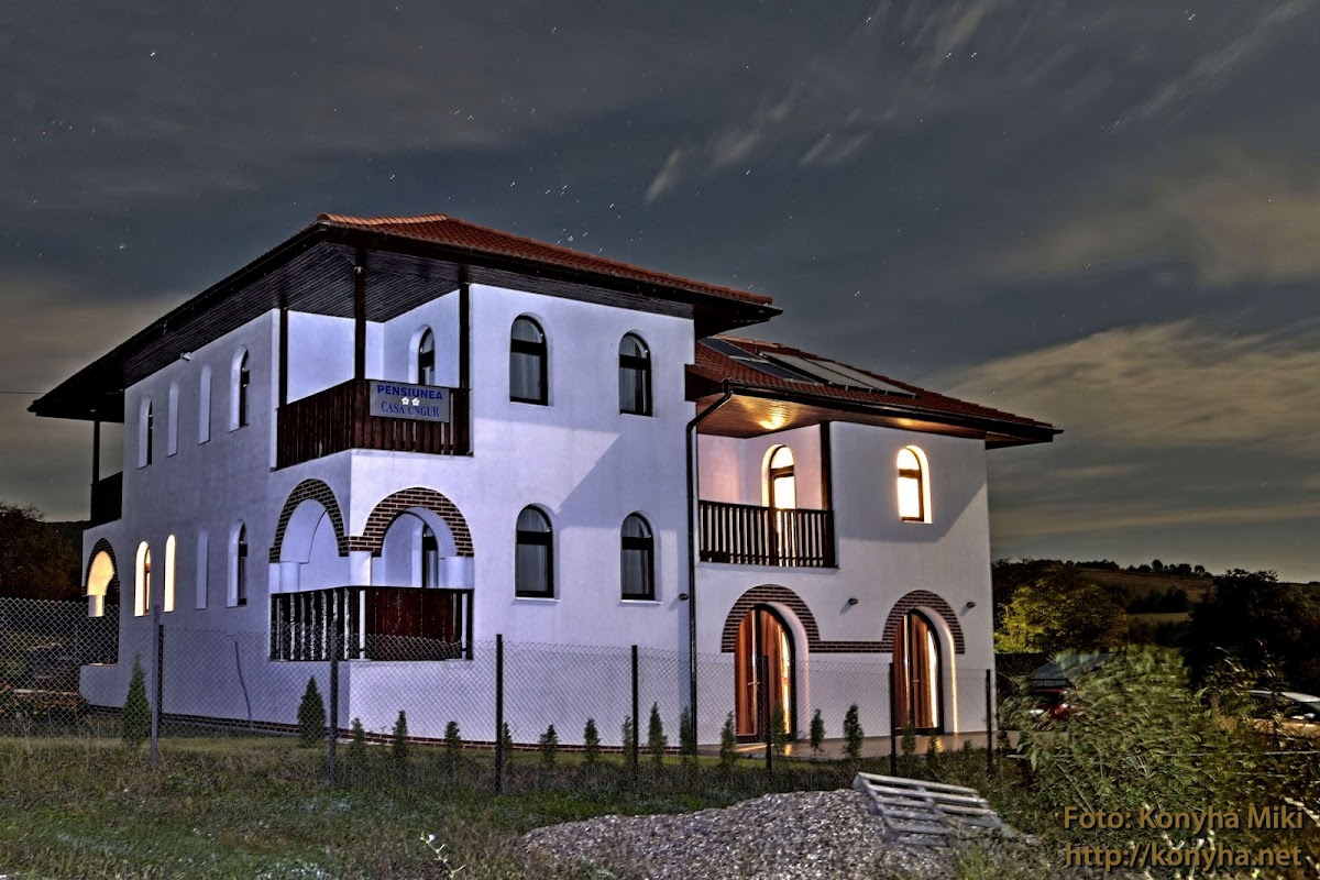 Pensiunea Casa Ungur
