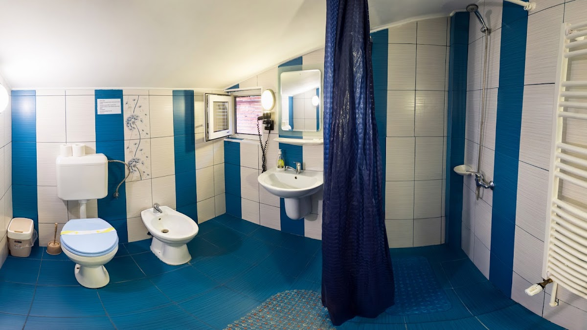 Pensiunea Casa verde Bucuresti - foto 3