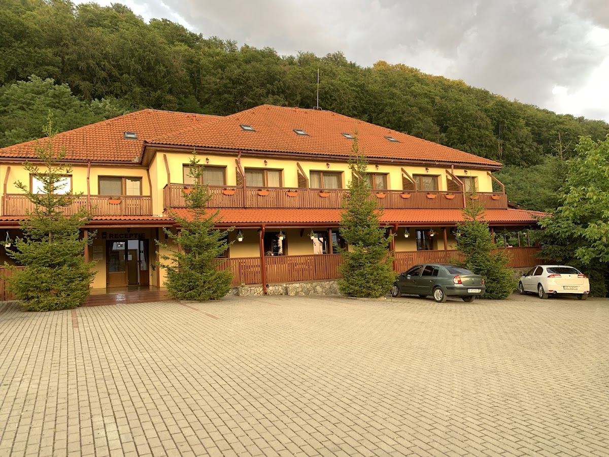 CASTANIA Panzió - Polovragi