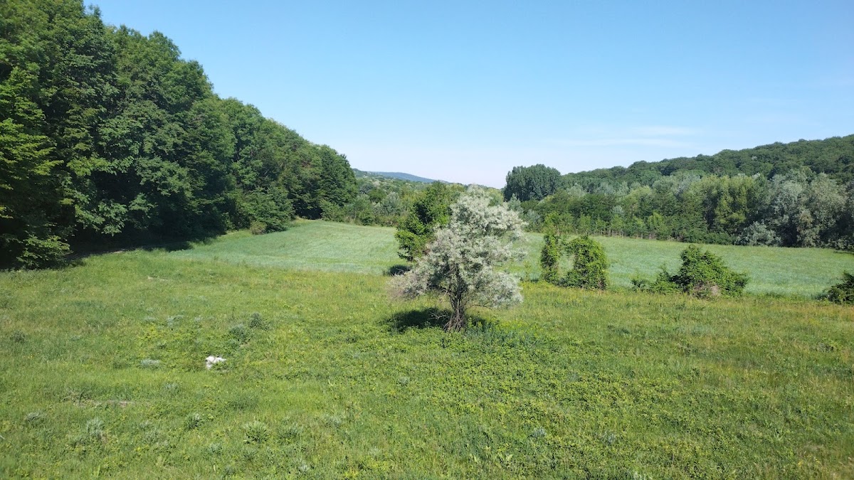 Pensiunea Cetatuia - foto 4