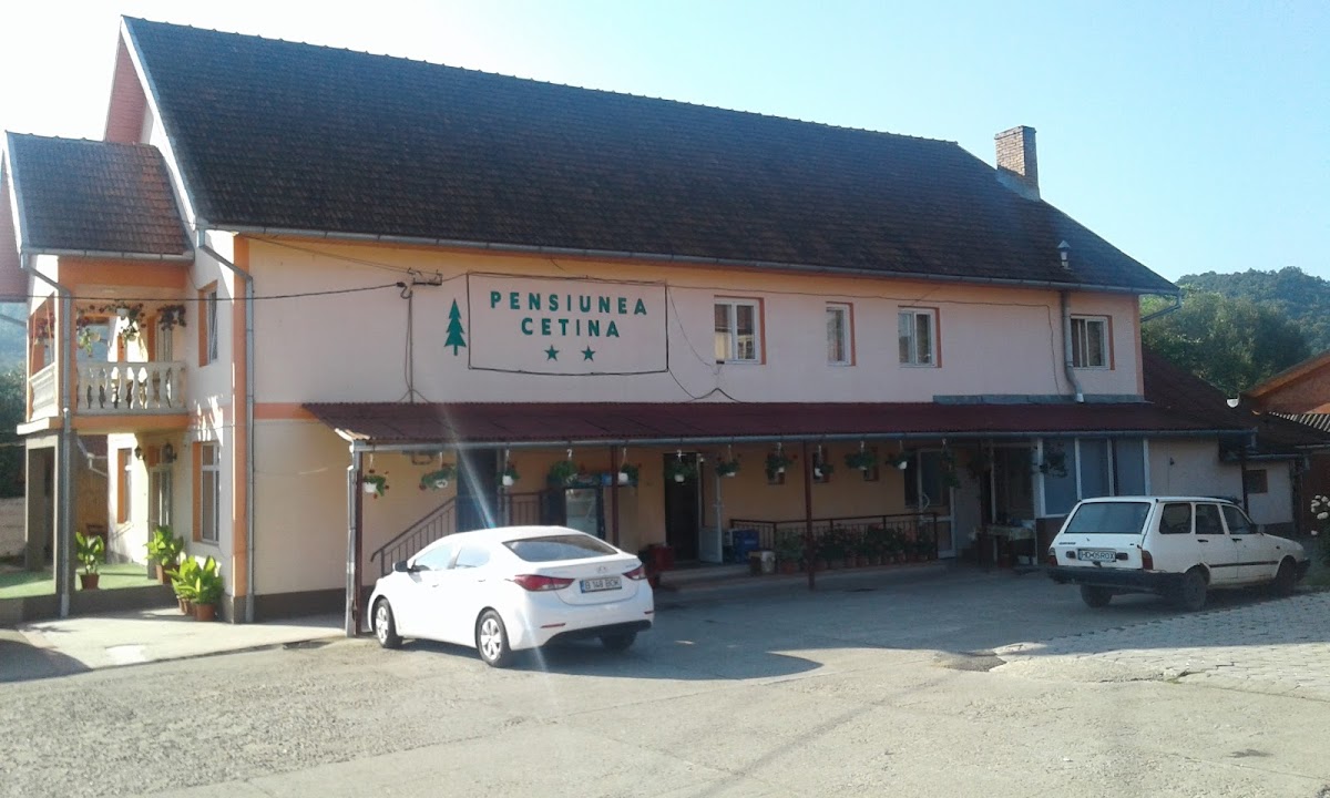 Pensiunea Cetina - foto 4