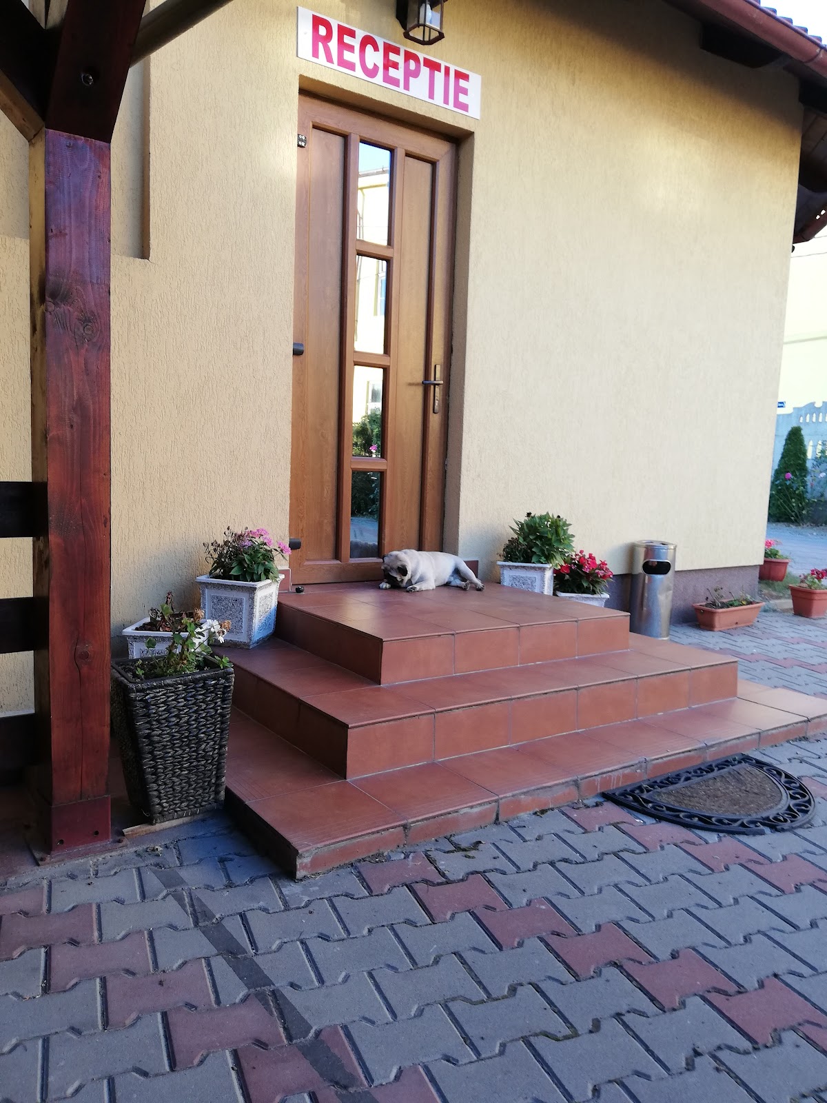 Pensiunea Coco - foto 4