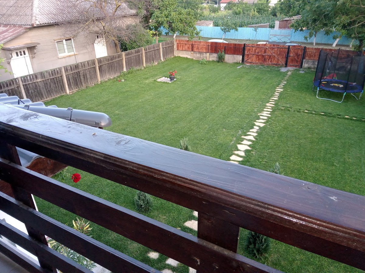 Pensiunea Codalb - foto 4