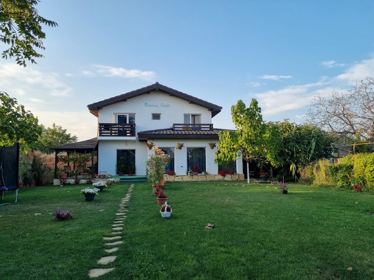 Pensiunea Codalb - foto 5