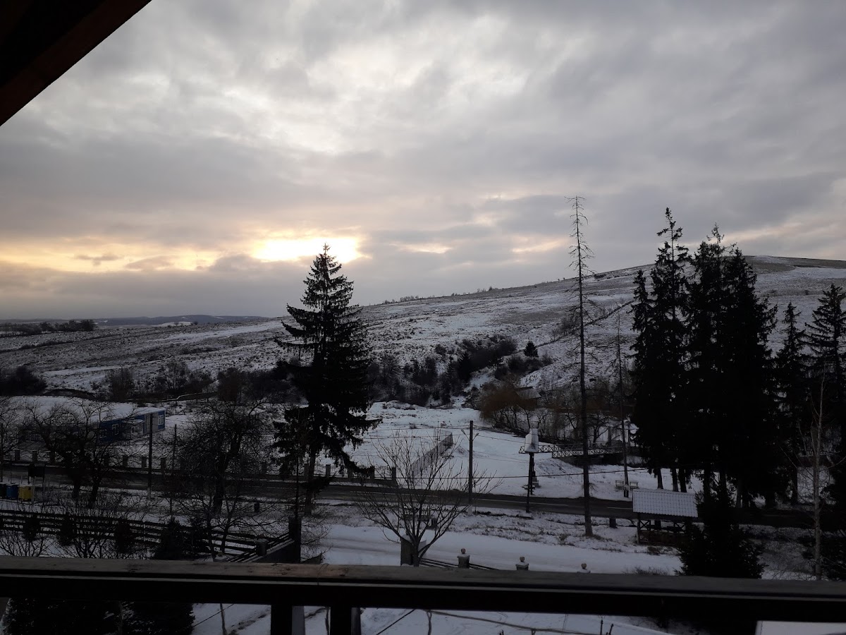 Pensiunea Codrii de Arama