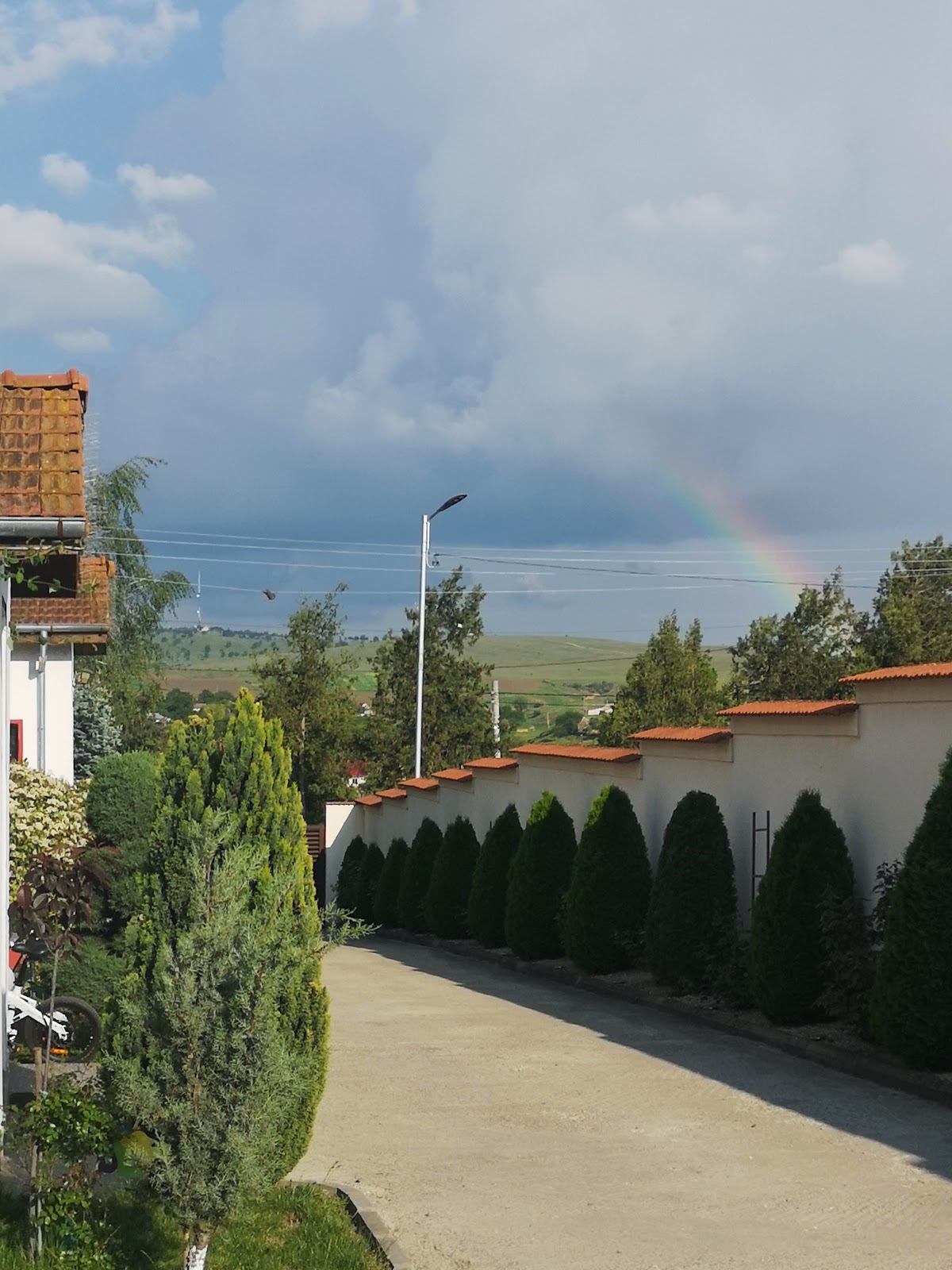 Pensiunea Codru, Topolog