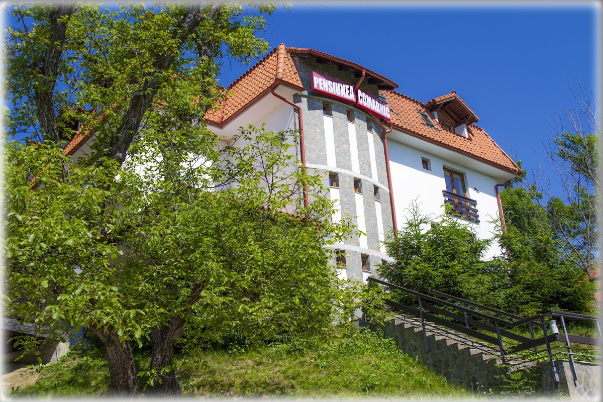 Pensiunea Comarnic - foto 4