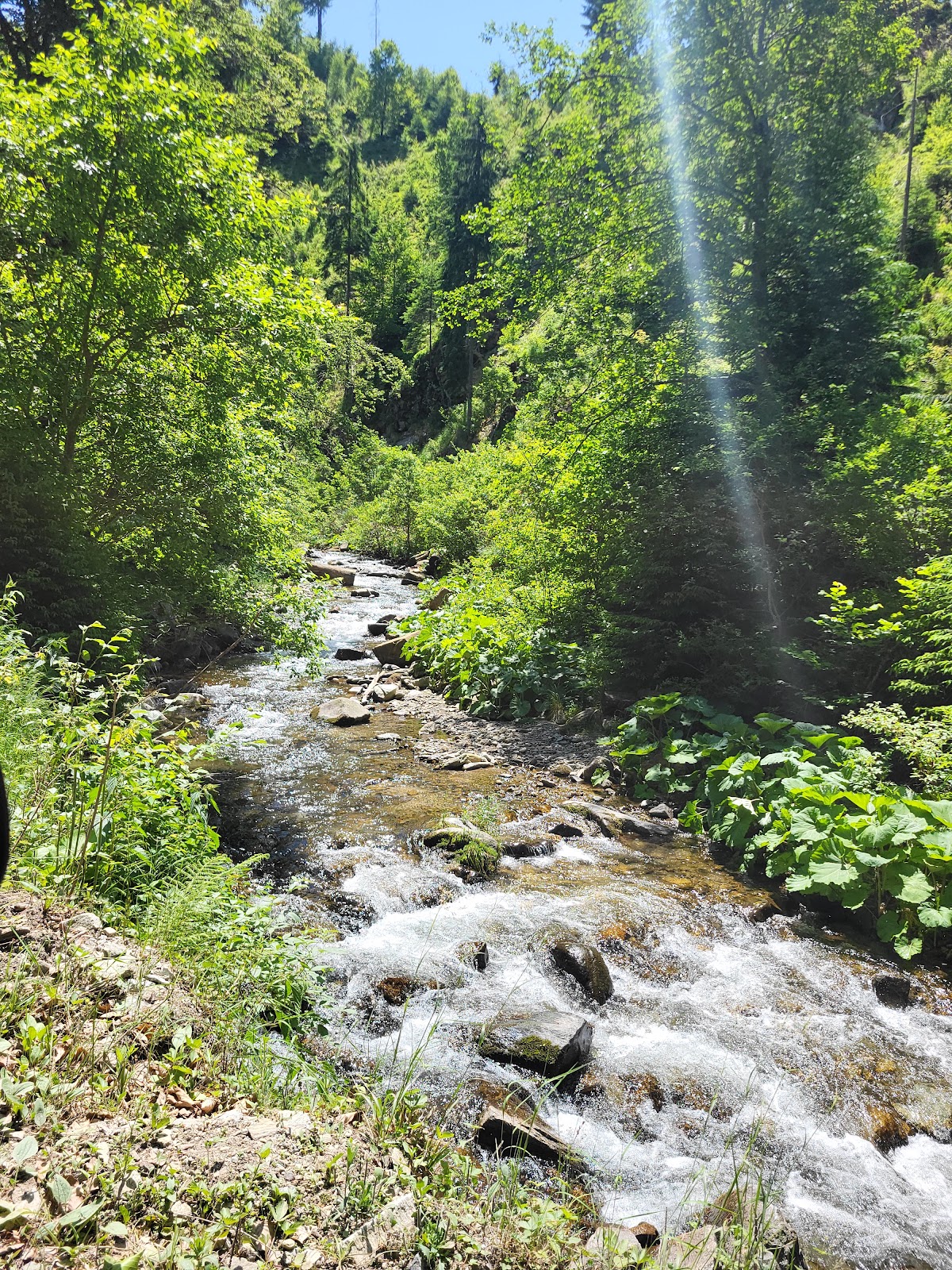 Pensiunea Corbii de Piatra