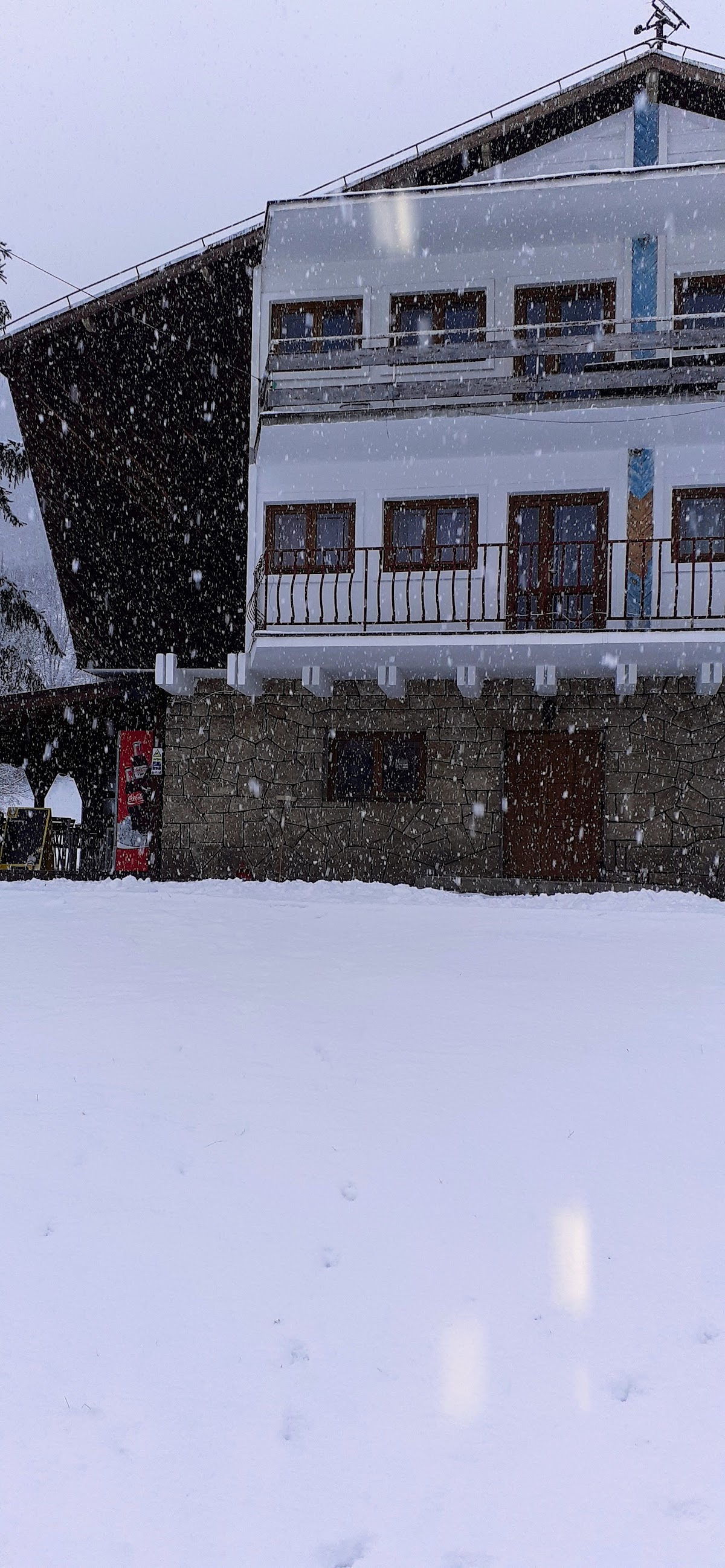 Pensiunea Costesti