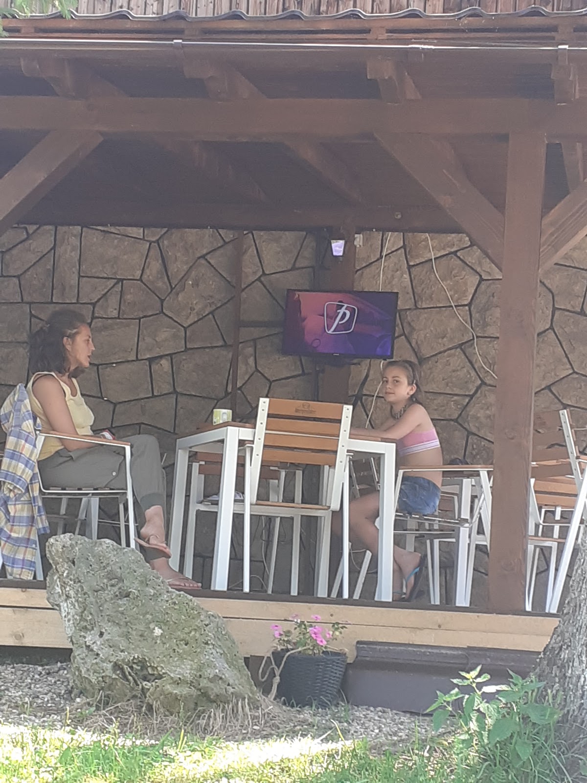 Pensiunea Costesti
