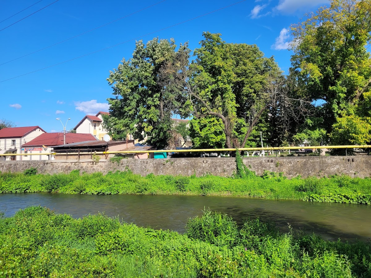 Pension Curtea Veche Hunedoara