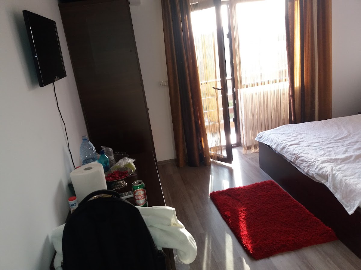 Pensiunea Daiana - foto 2