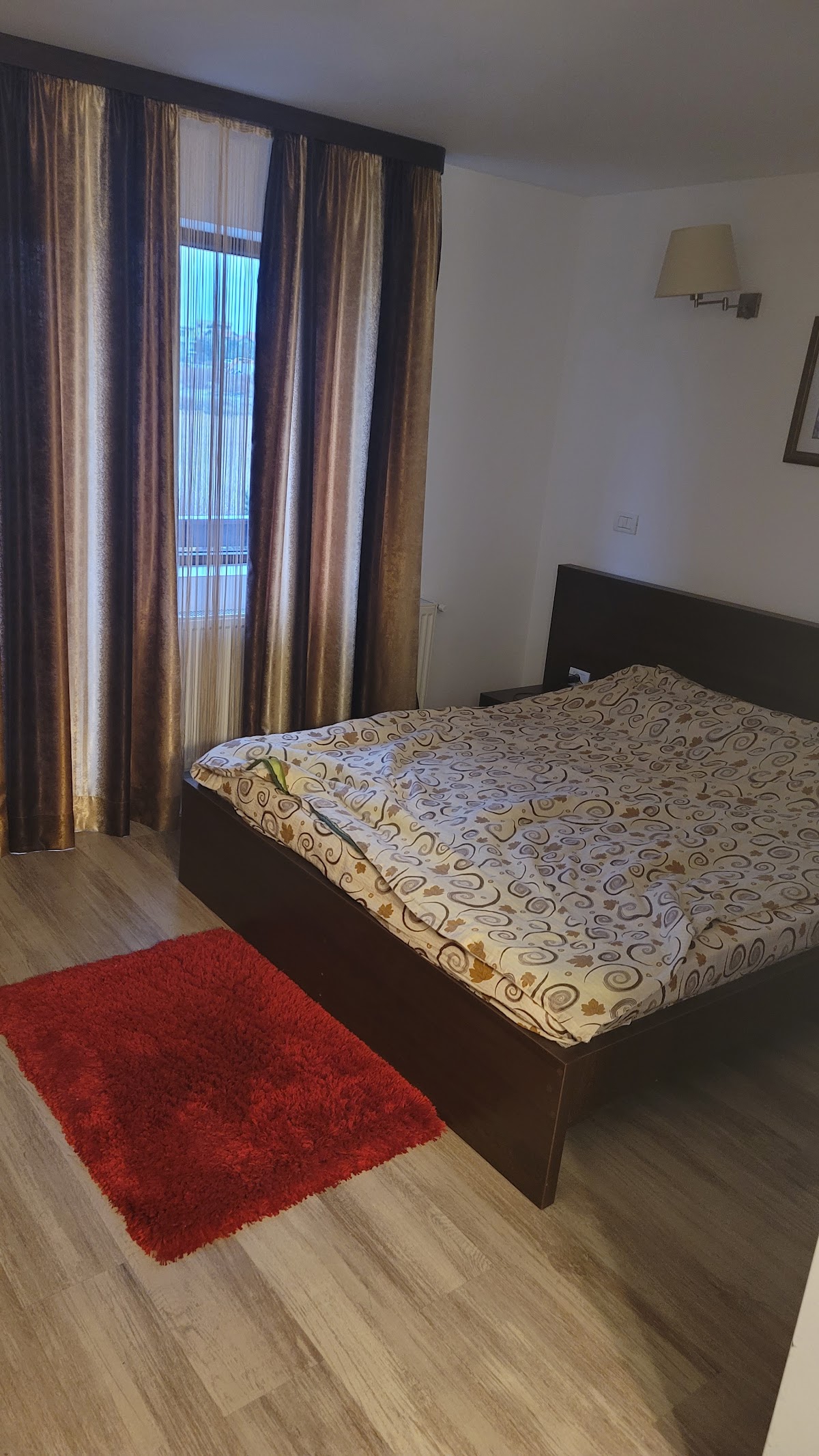 Pensiunea Daiana - foto 3