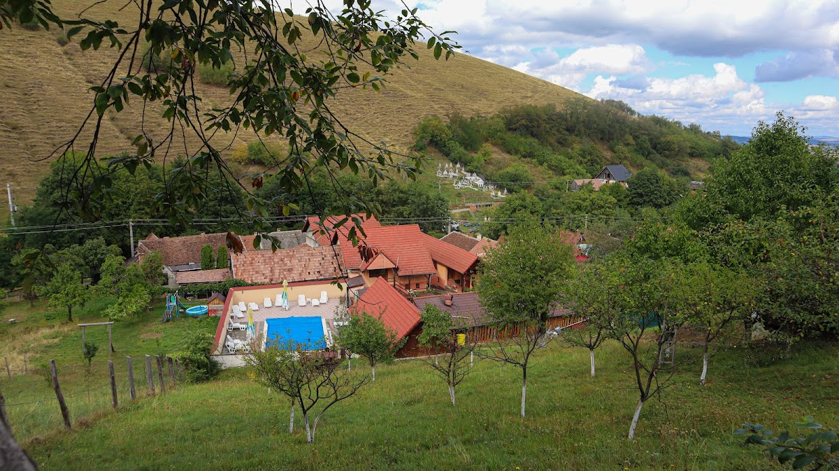 Pensiunea Darian si David - Marginimea Sibiului - foto 1