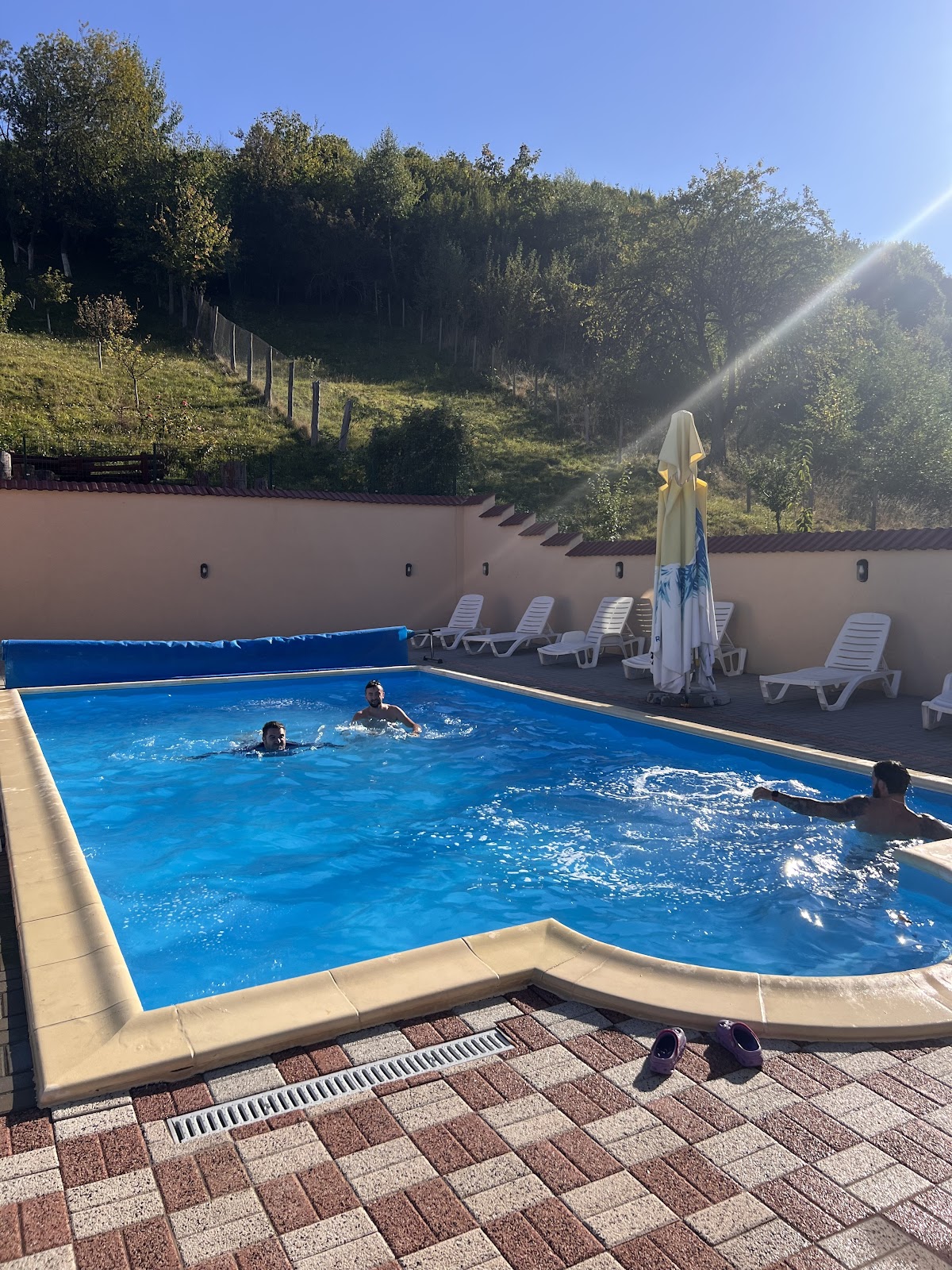 Pensiunea Darian si David - Marginimea Sibiului - foto 2