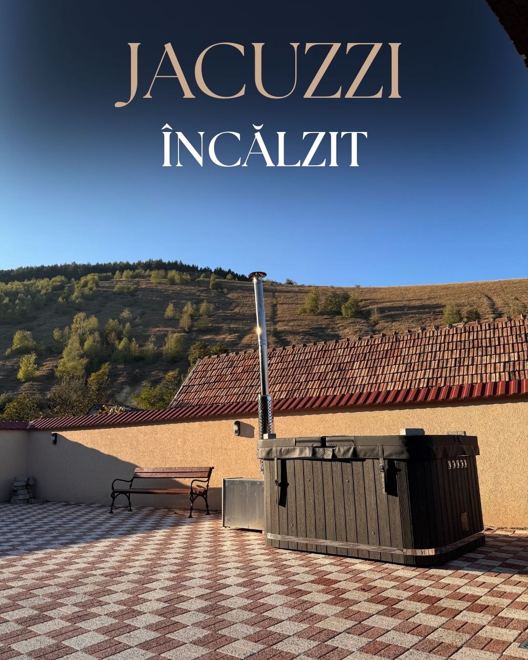 Pensiunea Darian si David - Marginimea Sibiului - foto 3