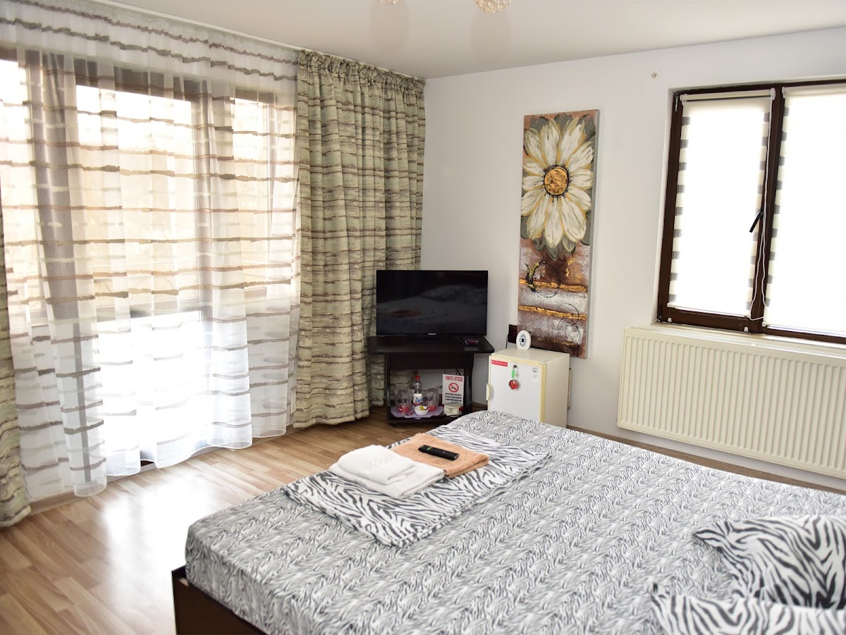 Pensiunea Dely Cios - foto 2