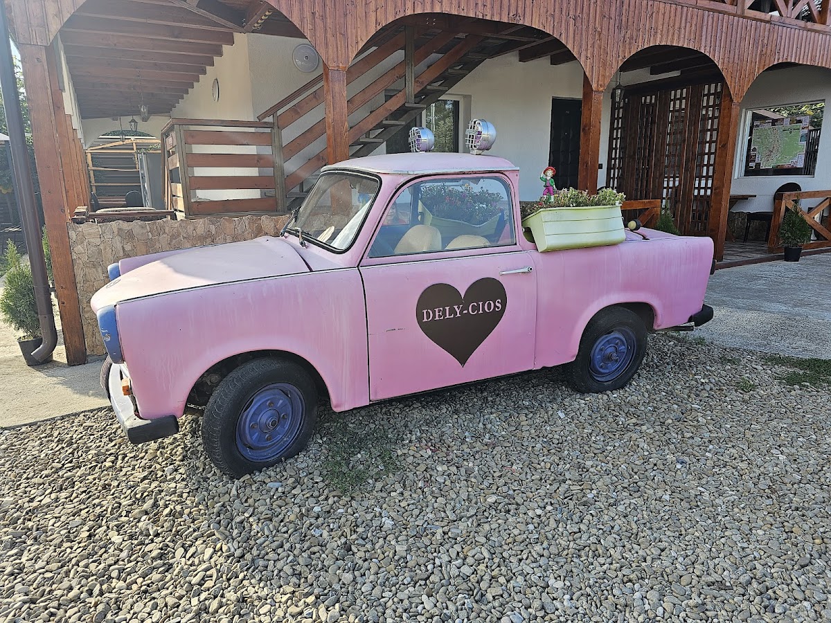 Pensiunea Dely Cios - foto 5