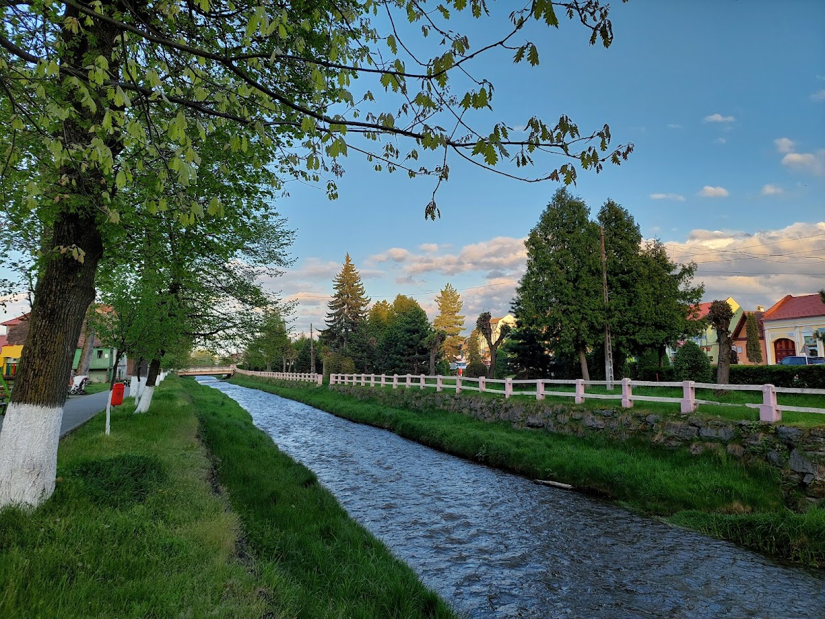 Pensiunea Domnescu - foto 1