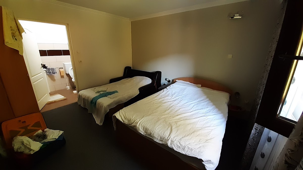 Pensiunea Domnescu - foto 2