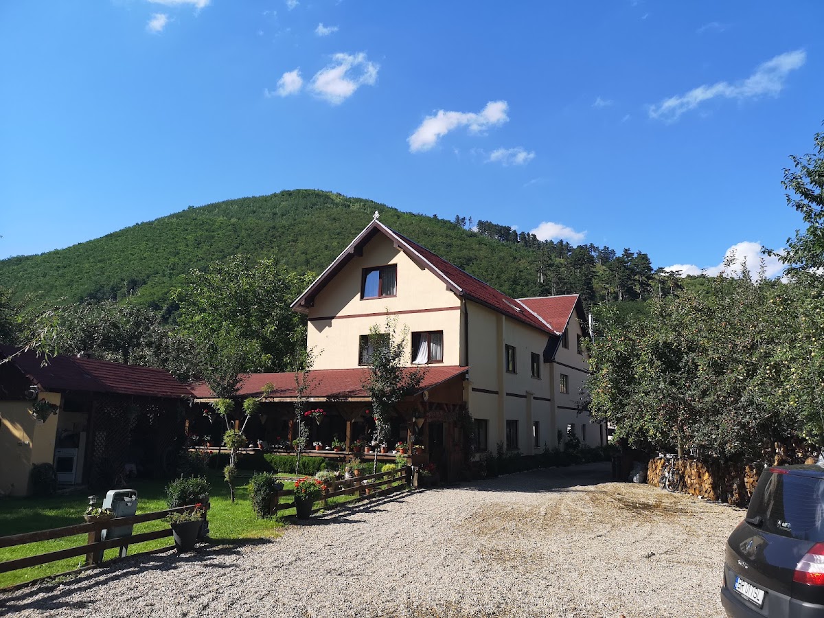 Pensiunea Domnescu - foto 3